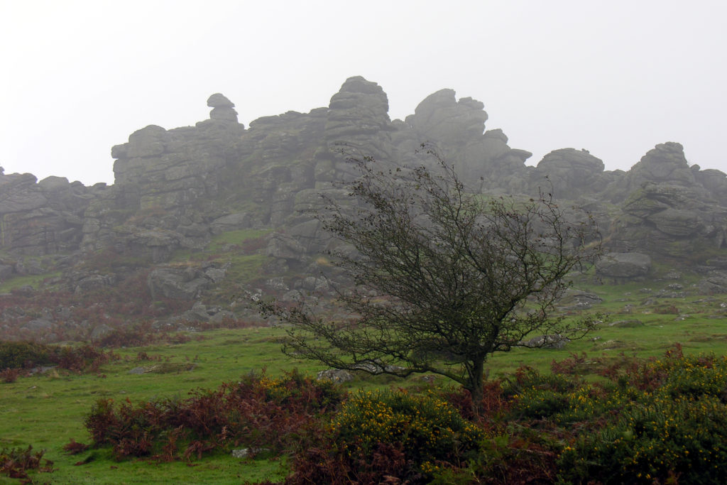 Dartmoor Hound Tor