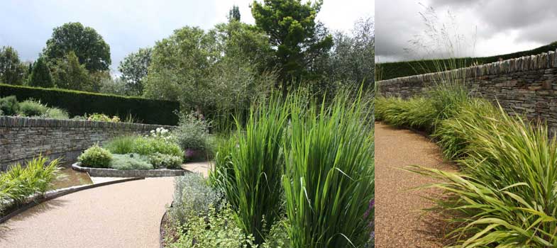 Long grasses in Rosemoor's new garden