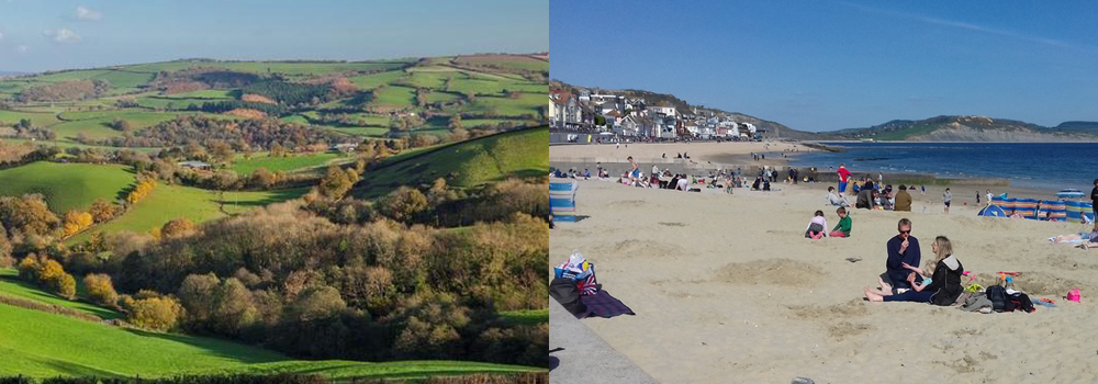 Natural Beauty of East Devon