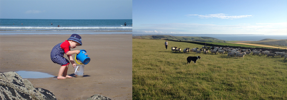 At Pickwell Barton, North Devon, Beach, countryside