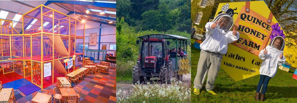 Activities to take part in at Quince Honey Farm, North Devon 