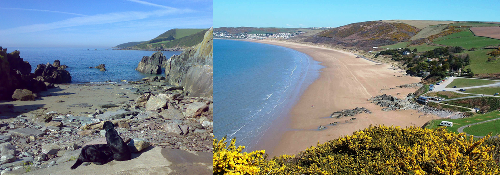 Come and walk your dog at dog friendly beaches in North Devon.