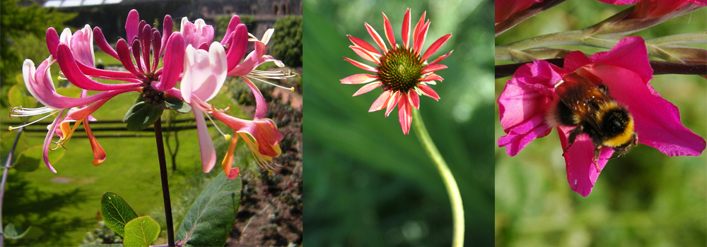 See beautiful gardens in South Devon and stay with Devon Farm Holidays.